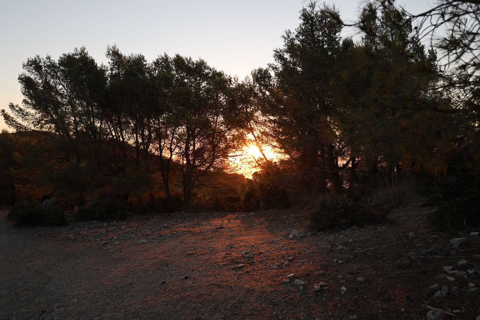 Sonnenuntergang, nächster Trip